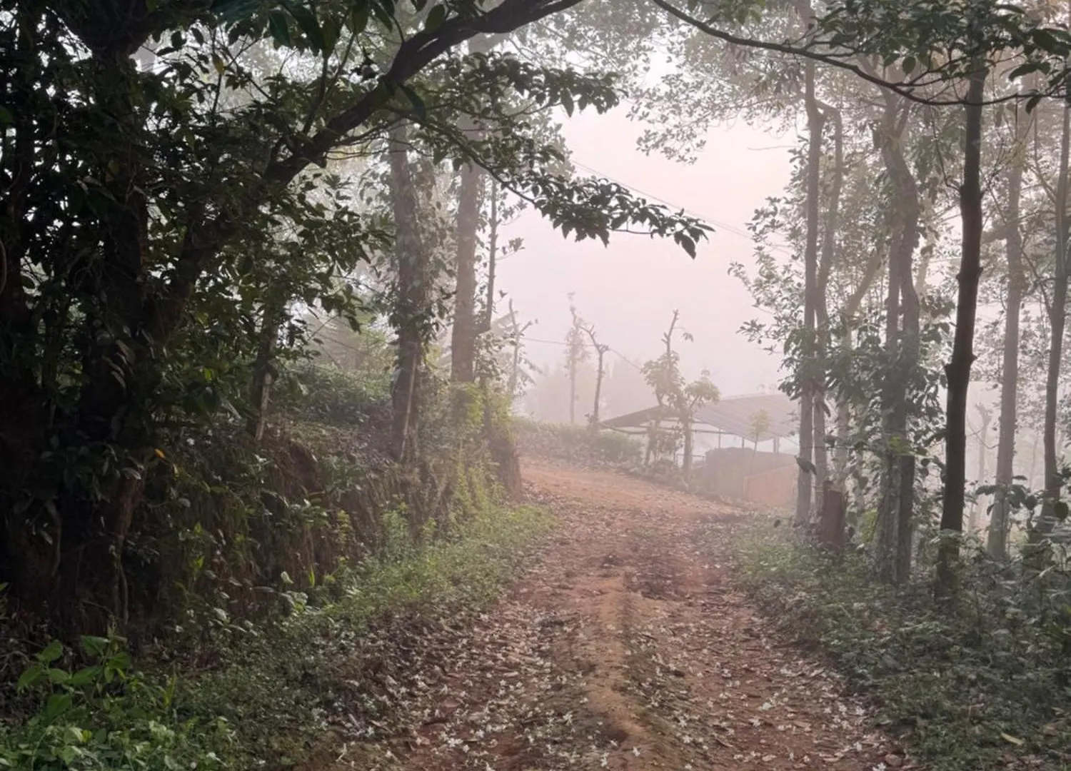 Pragathi Homestay Mananthavady