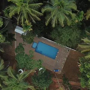 2* Bed & Breakfast Paddyfield