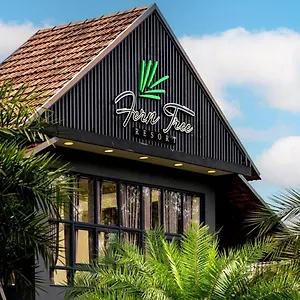 4* Hotel Fern Tree